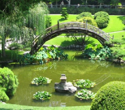 Harmonização Ambiental